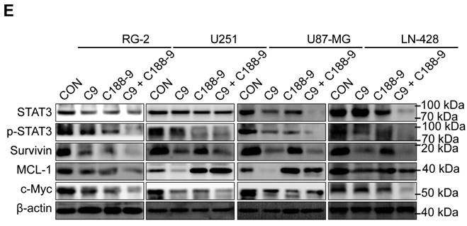 J Cancer Image