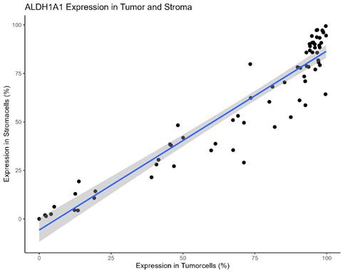 J Cancer Image