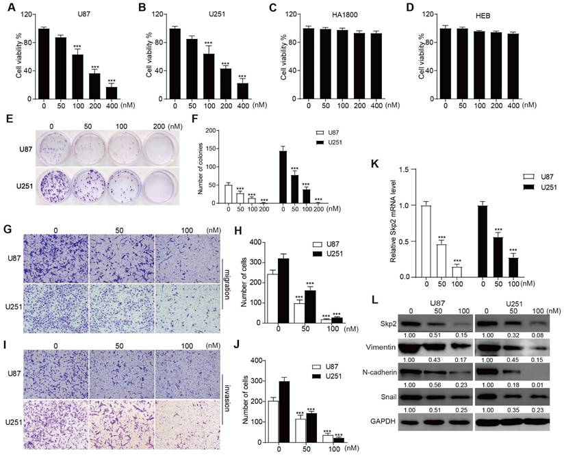 J Cancer Image