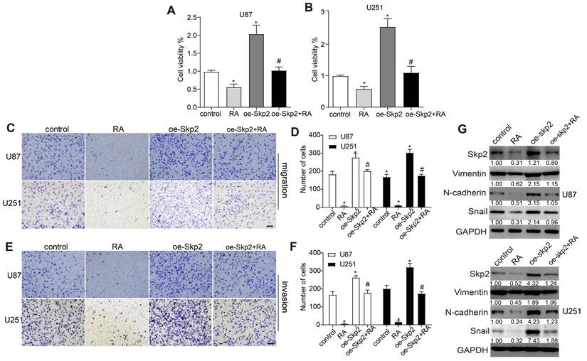 J Cancer Image