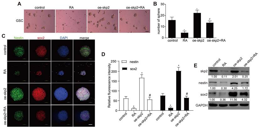 J Cancer Image