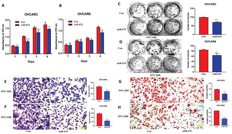 J Cancer Image