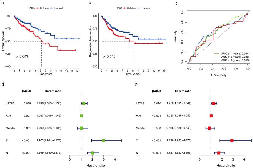 J Cancer Image