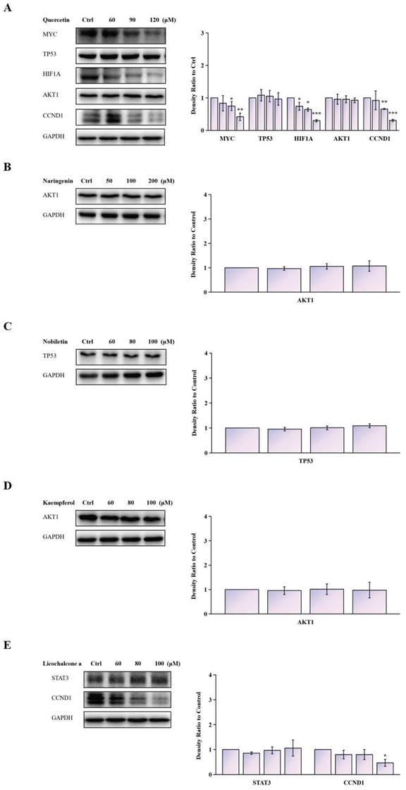 J Cancer Image