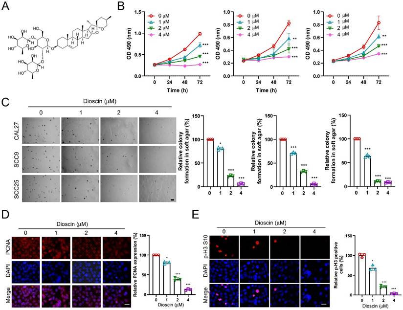 J Cancer Image