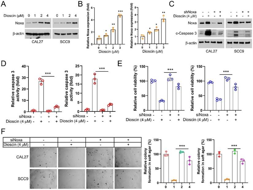 J Cancer Image