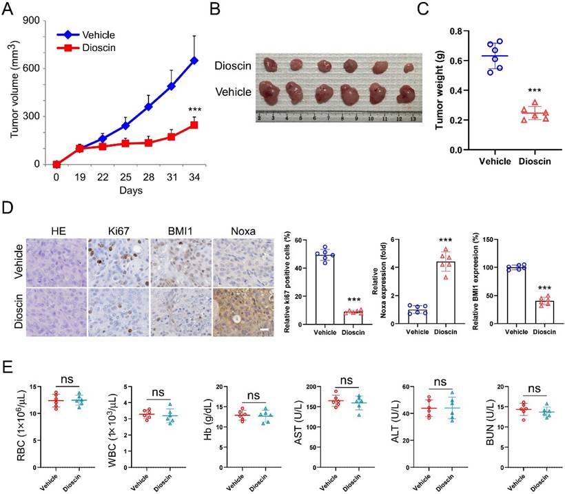 J Cancer Image