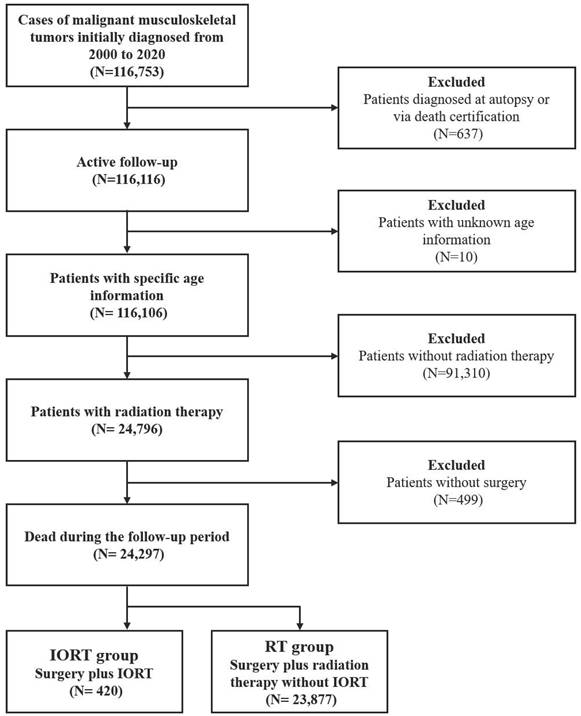 J Cancer Image