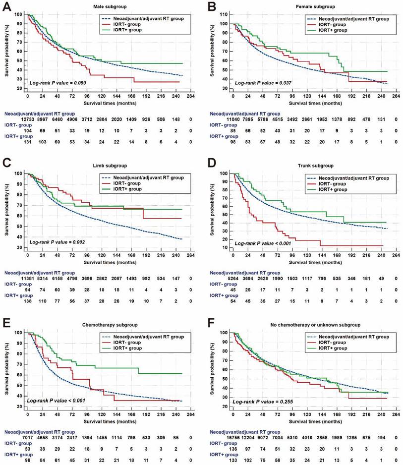 J Cancer Image