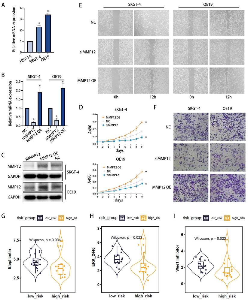 J Cancer Image