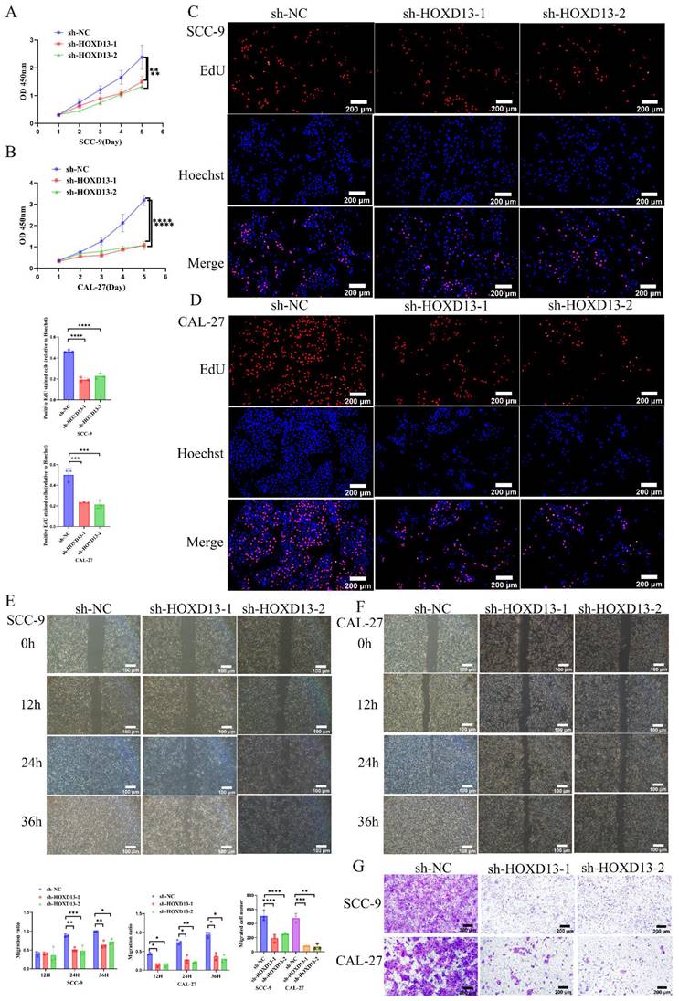 J Cancer Image