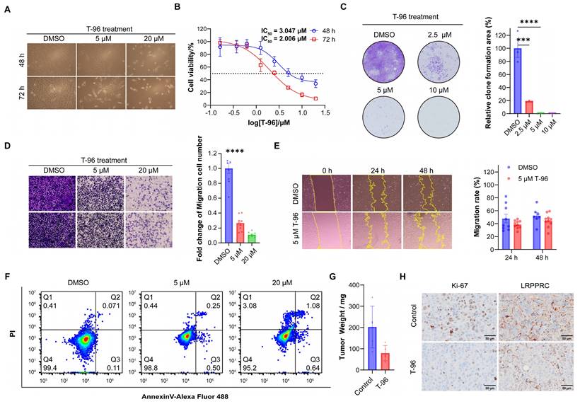 J Cancer Image