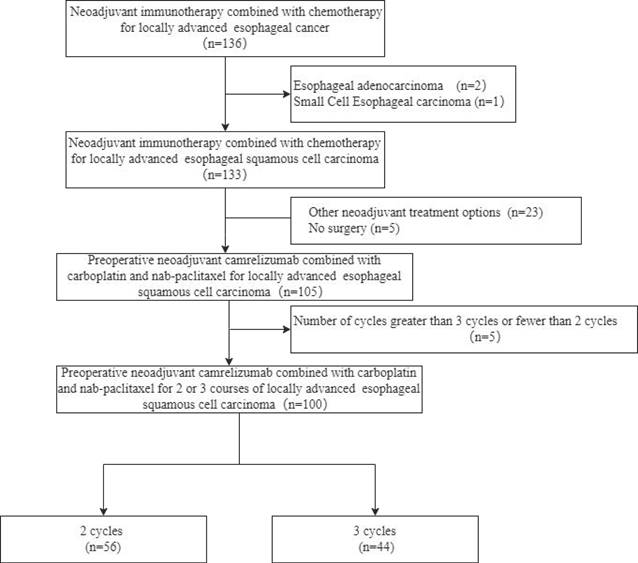 J Cancer Image