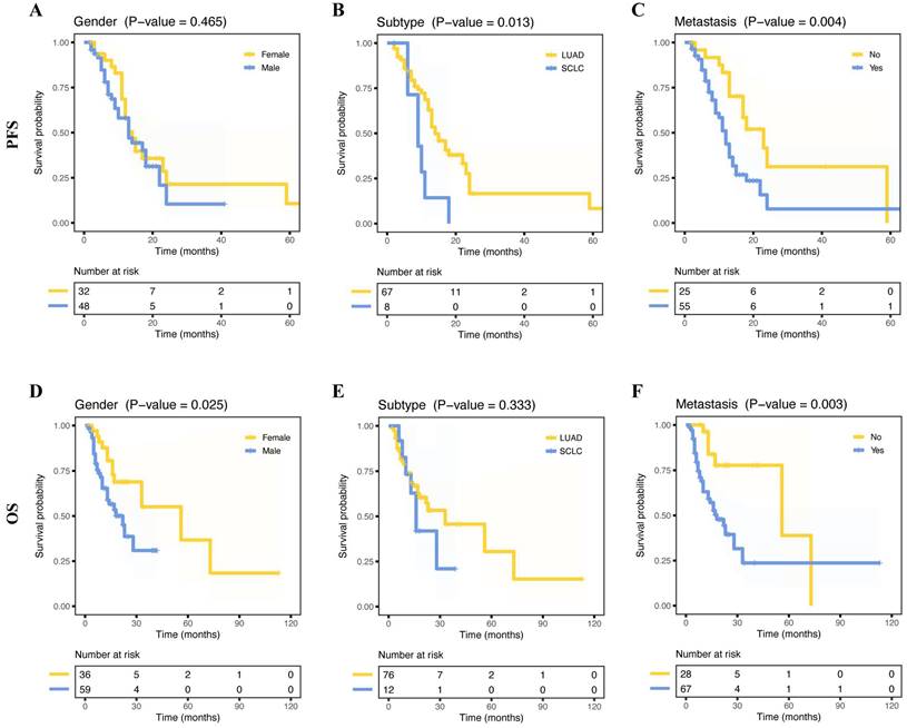 J Cancer Image