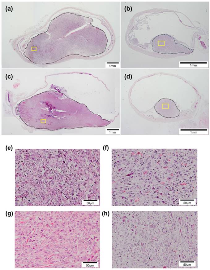 J Cancer Image