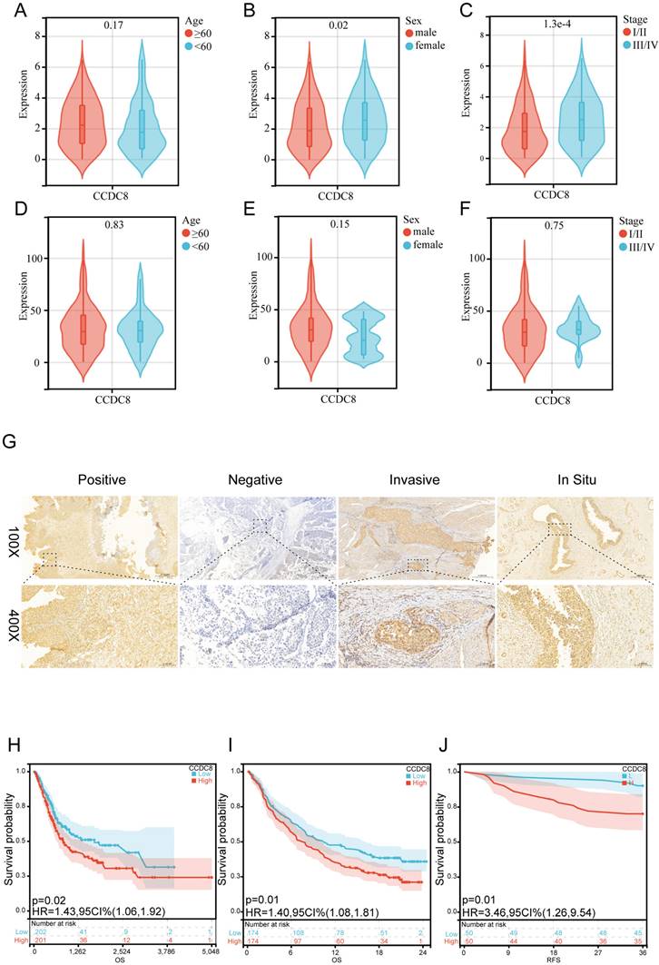 J Cancer Image