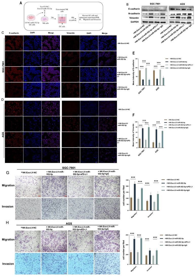 J Cancer Image