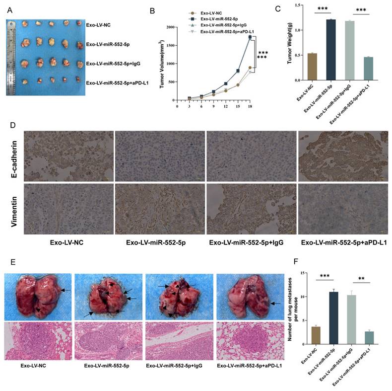 J Cancer Image