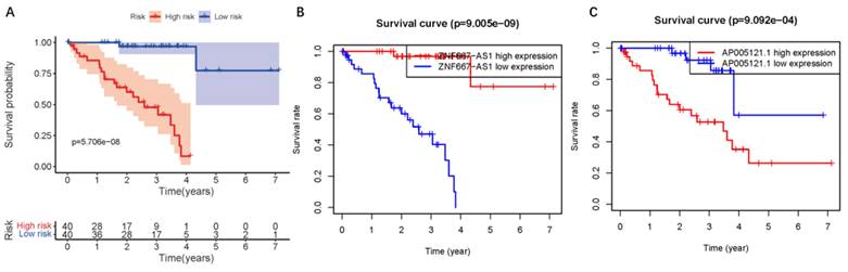 J Cancer Image