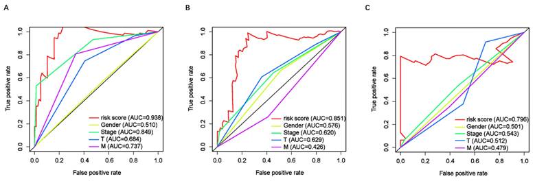 J Cancer Image