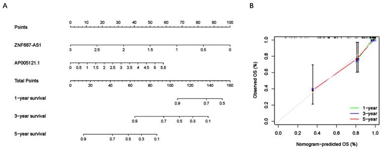 J Cancer Image