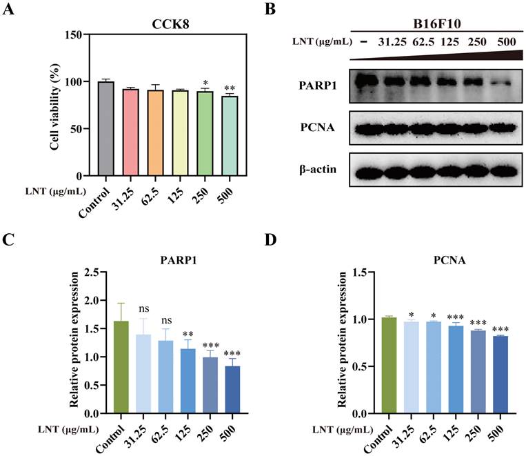 J Cancer Image