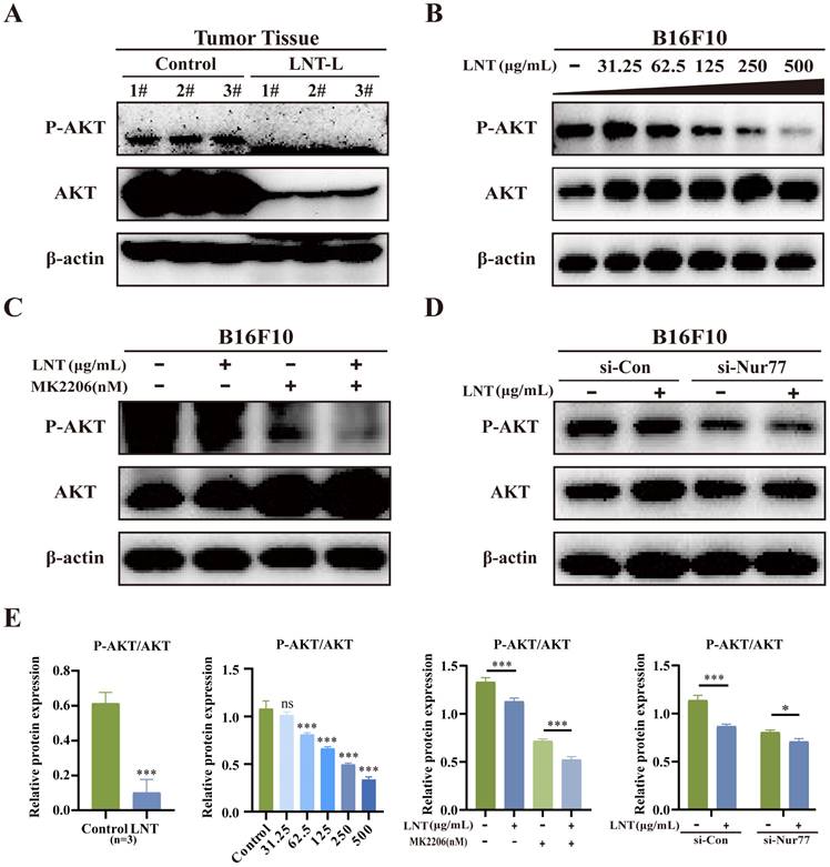 J Cancer Image