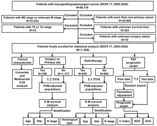 J Cancer Image