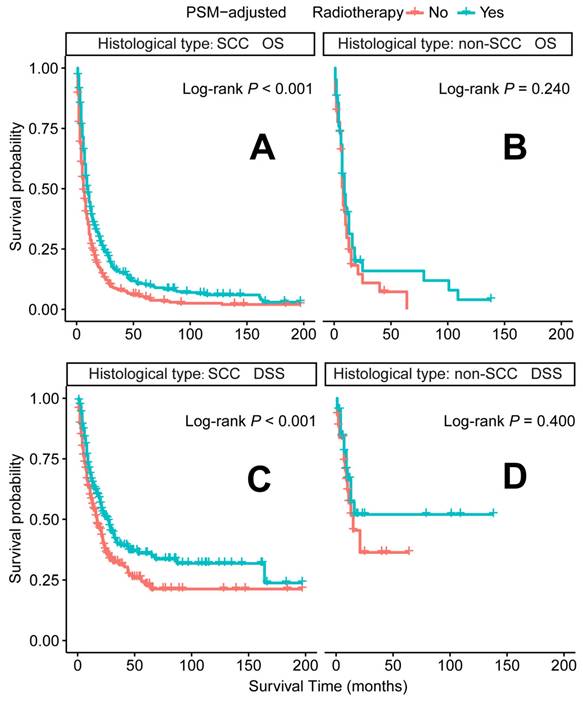 J Cancer Image