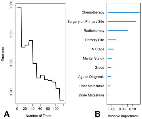 J Cancer Image