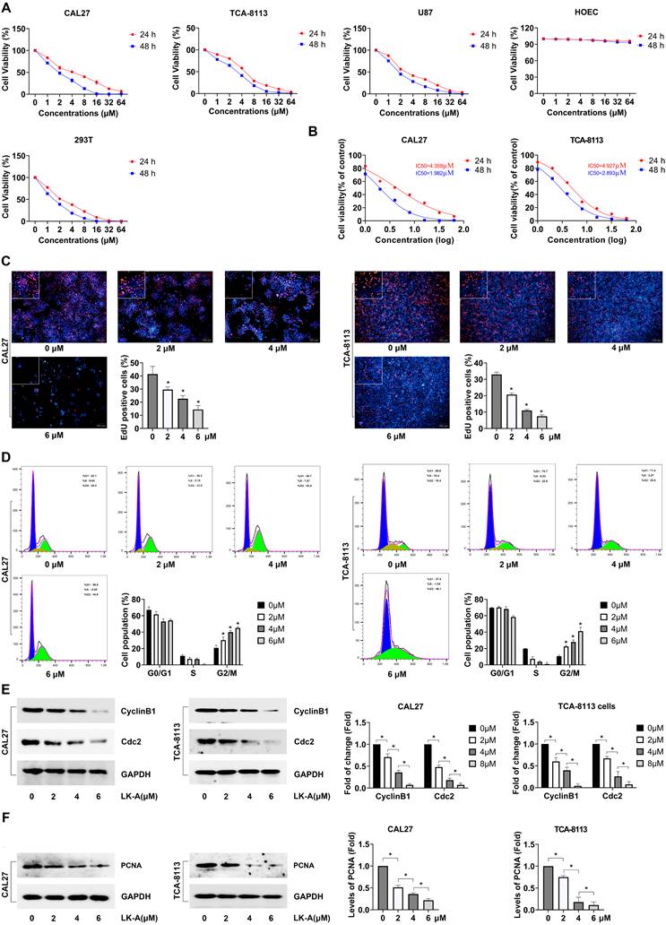 J Cancer Image