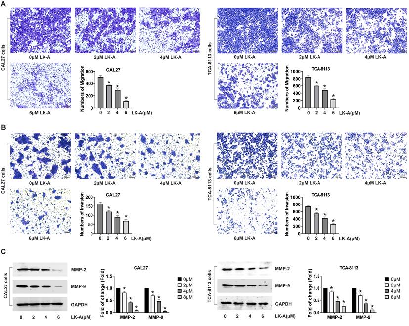 J Cancer Image