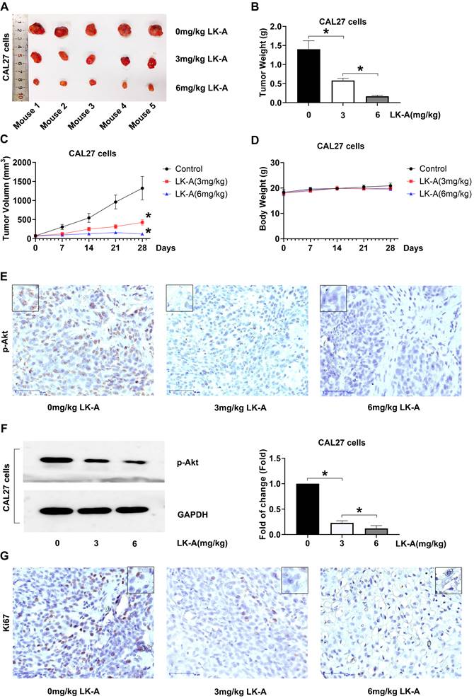 J Cancer Image