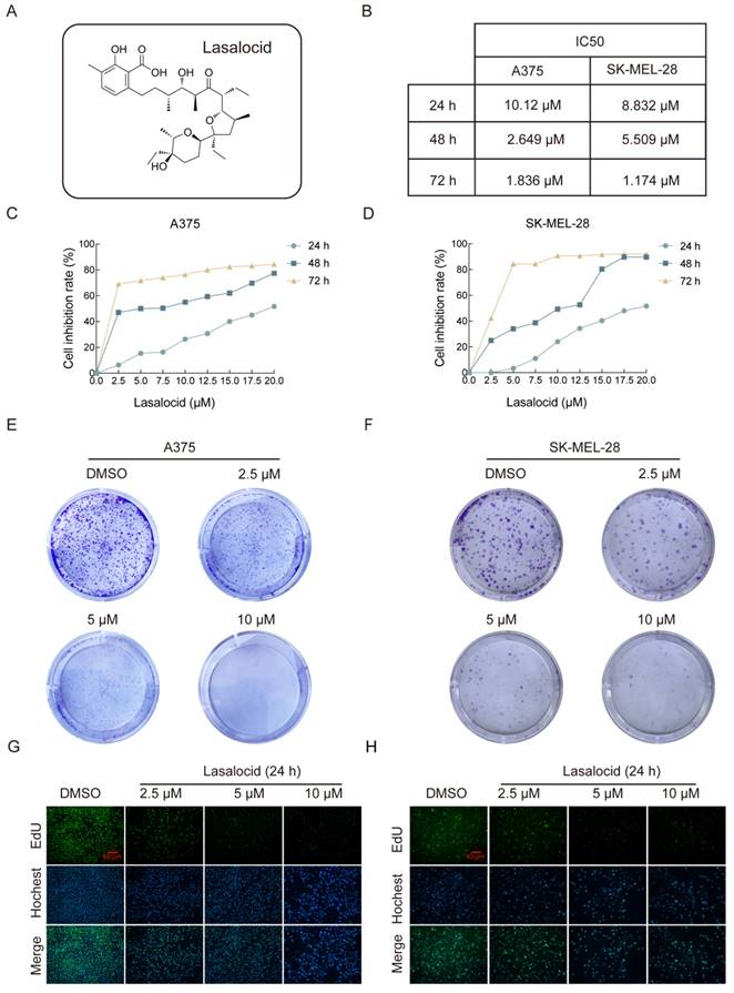 J Cancer Image