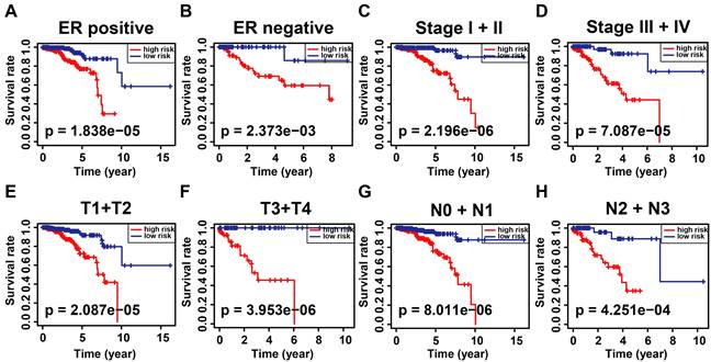 J Cancer Image