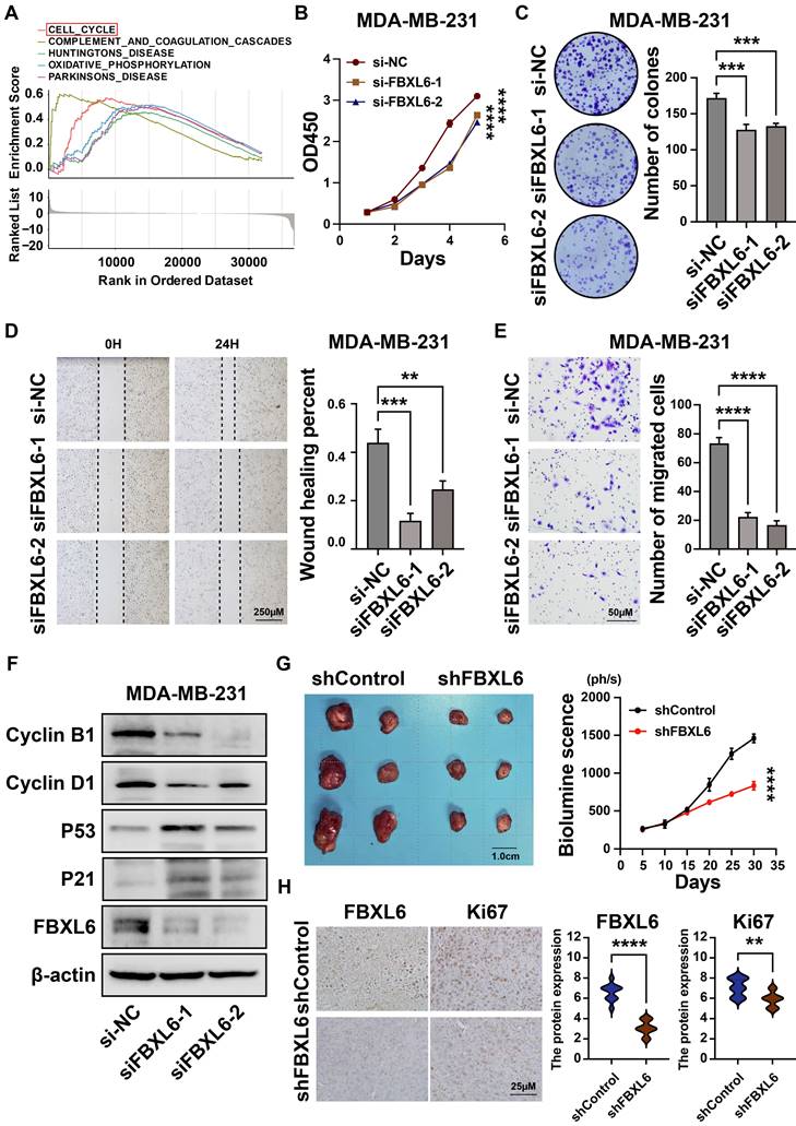 J Cancer Image