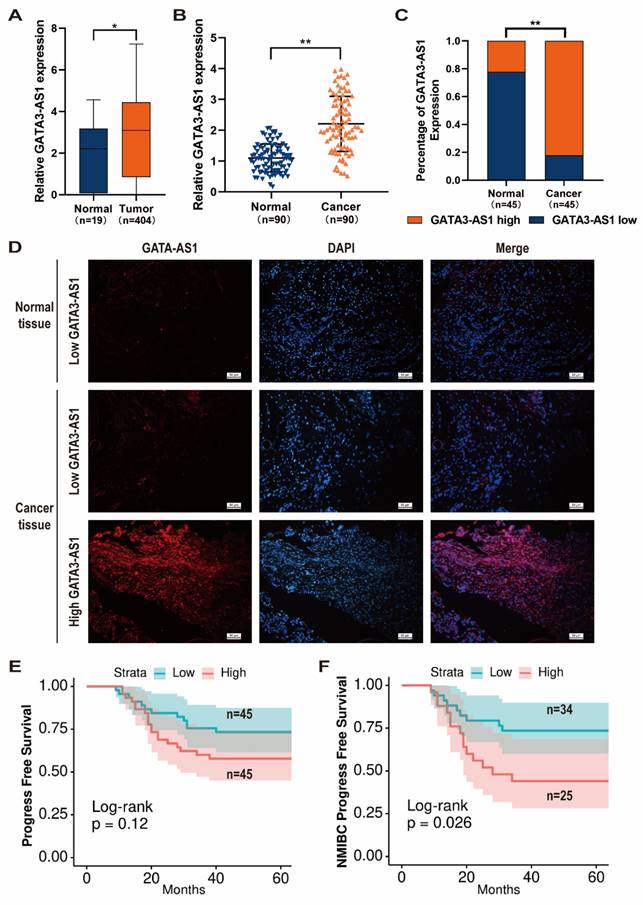 J Cancer Image