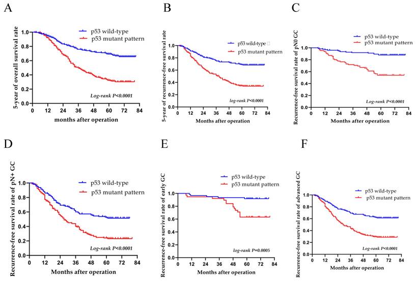 J Cancer Image