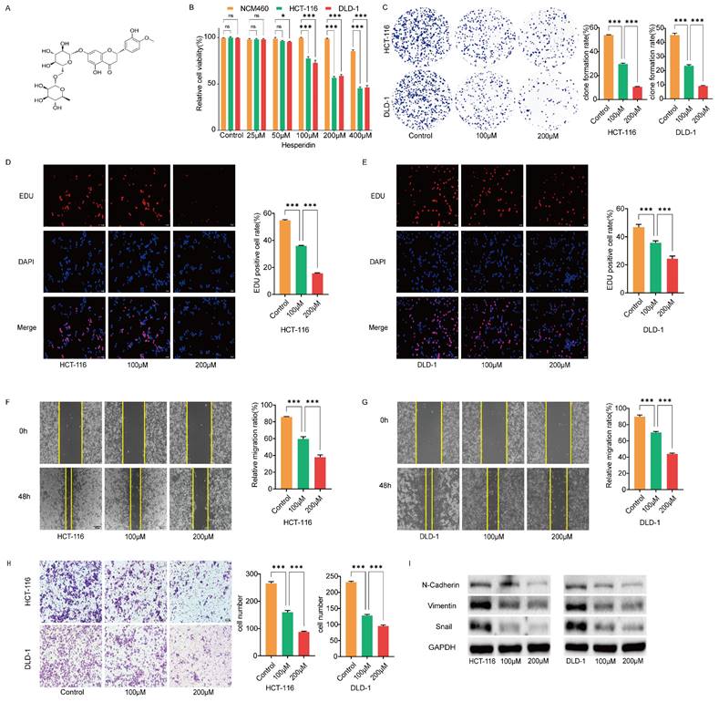 J Cancer Image