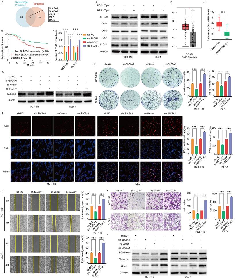 J Cancer Image