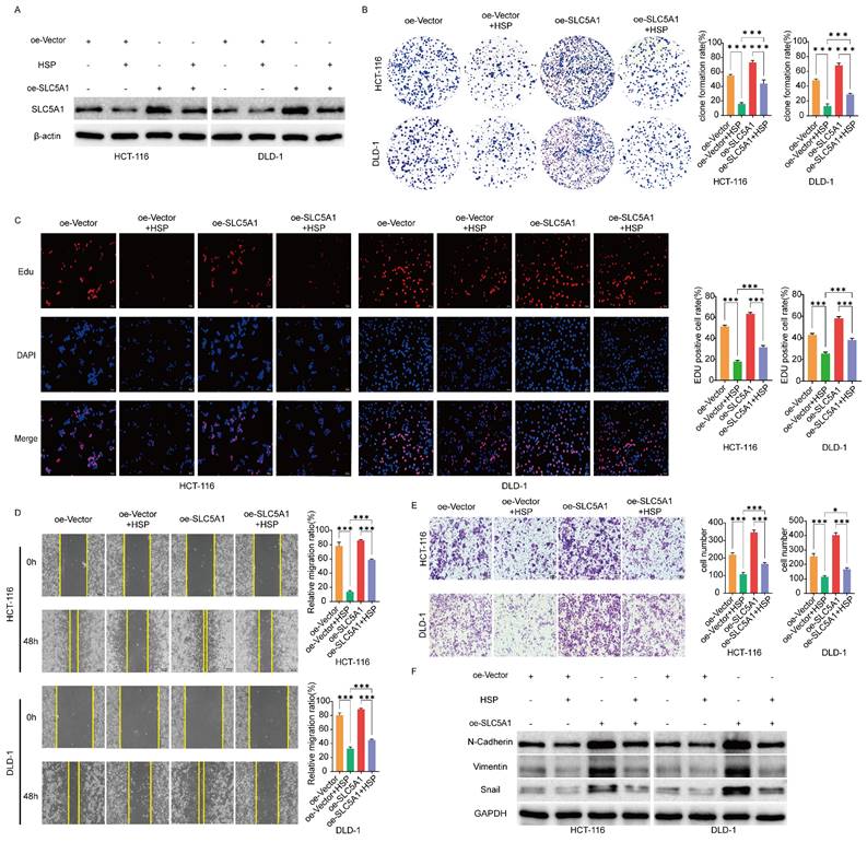 J Cancer Image