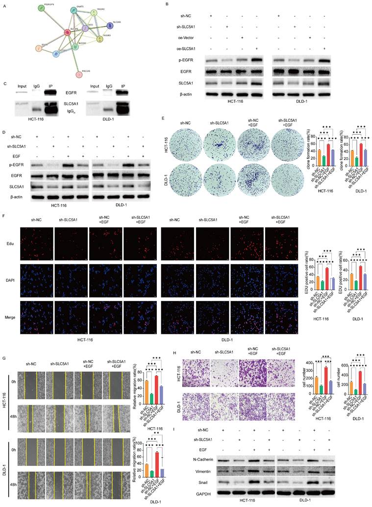 J Cancer Image