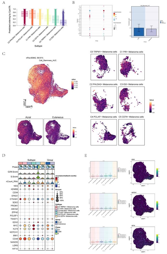 J Cancer Image