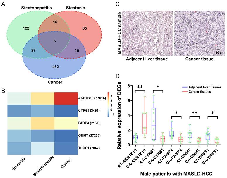 J Cancer Image