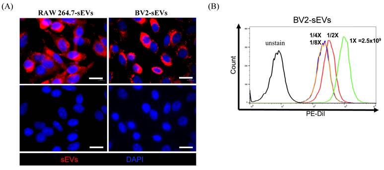 J Cancer Image