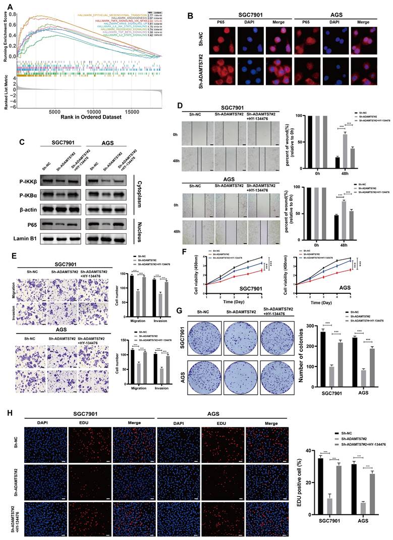 J Cancer Image