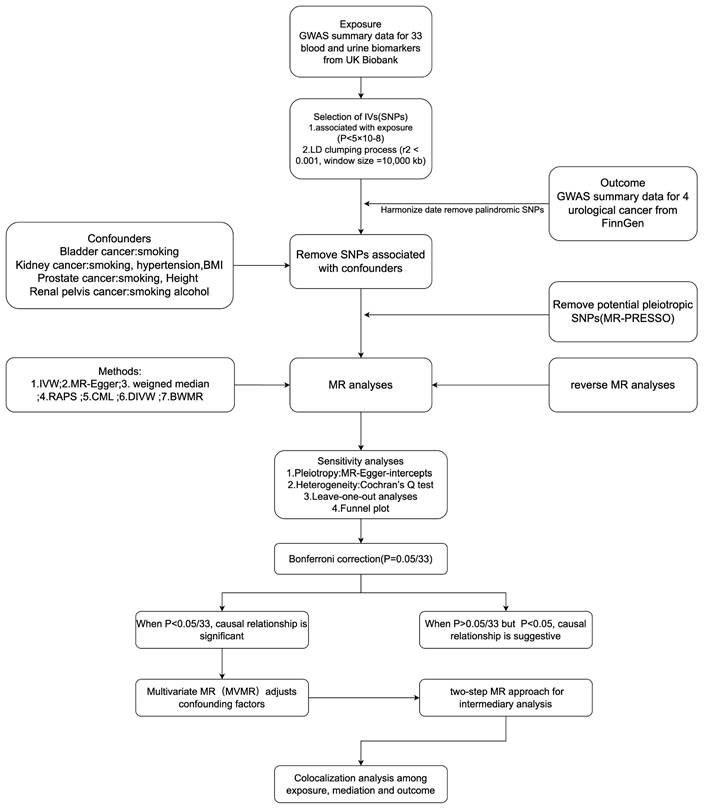 J Cancer Image