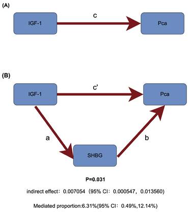 J Cancer Image