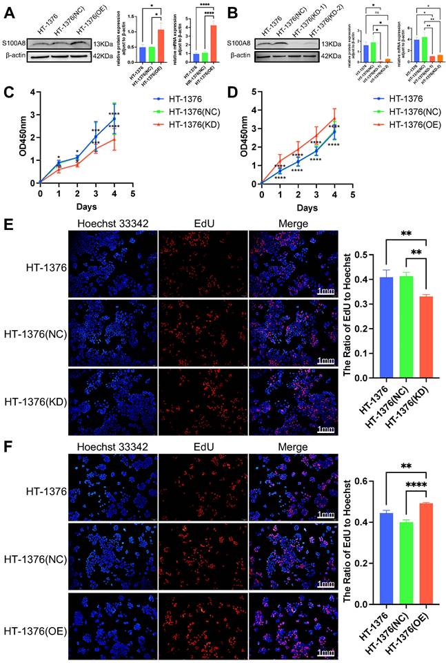 J Cancer Image