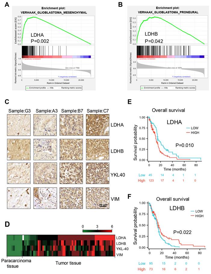 J Cancer Image